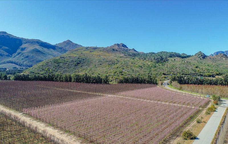 0 Bedroom Property for Sale in Franschhoek Western Cape